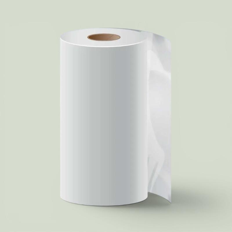 Formati disponibili/LifeSeal-Paper-Reel-Encaplast-1030x1030.jpg